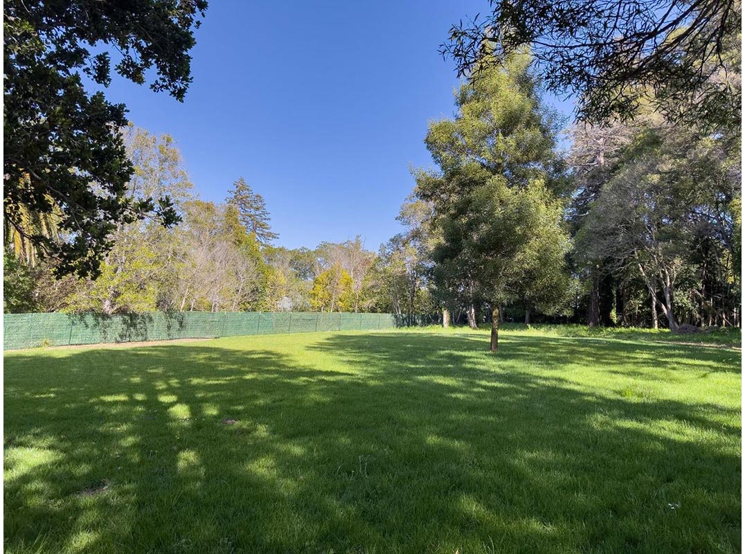 Prime Lower Hillsborough Lot